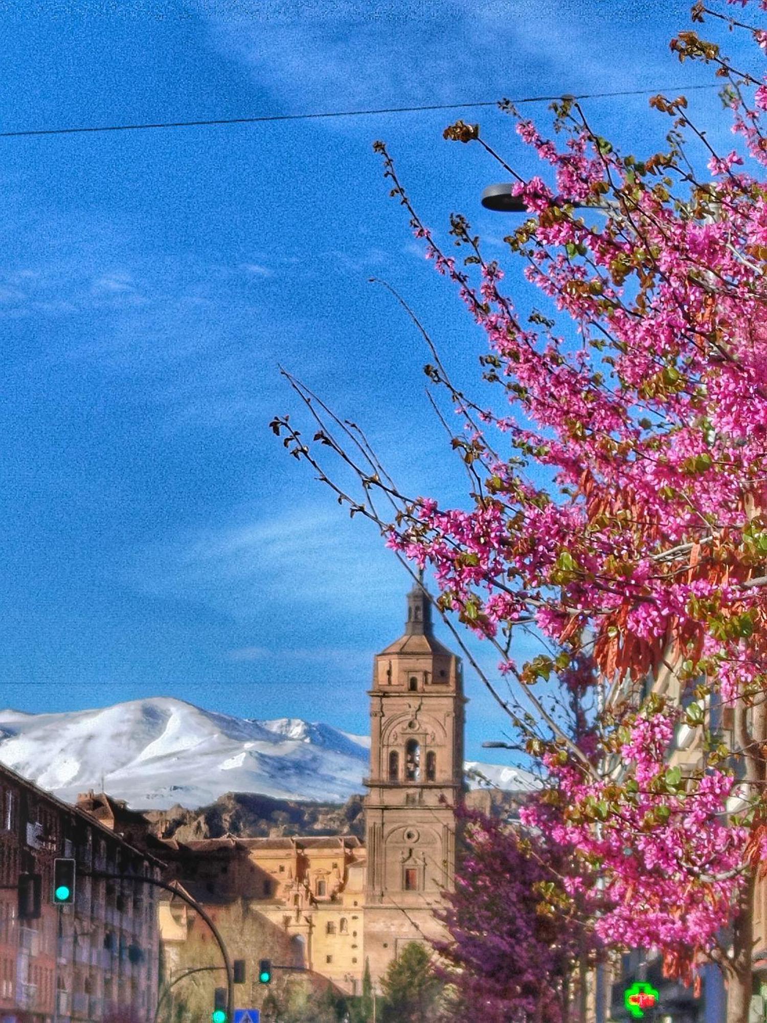 Villa Cueva La Loli Guadix Esterno foto
