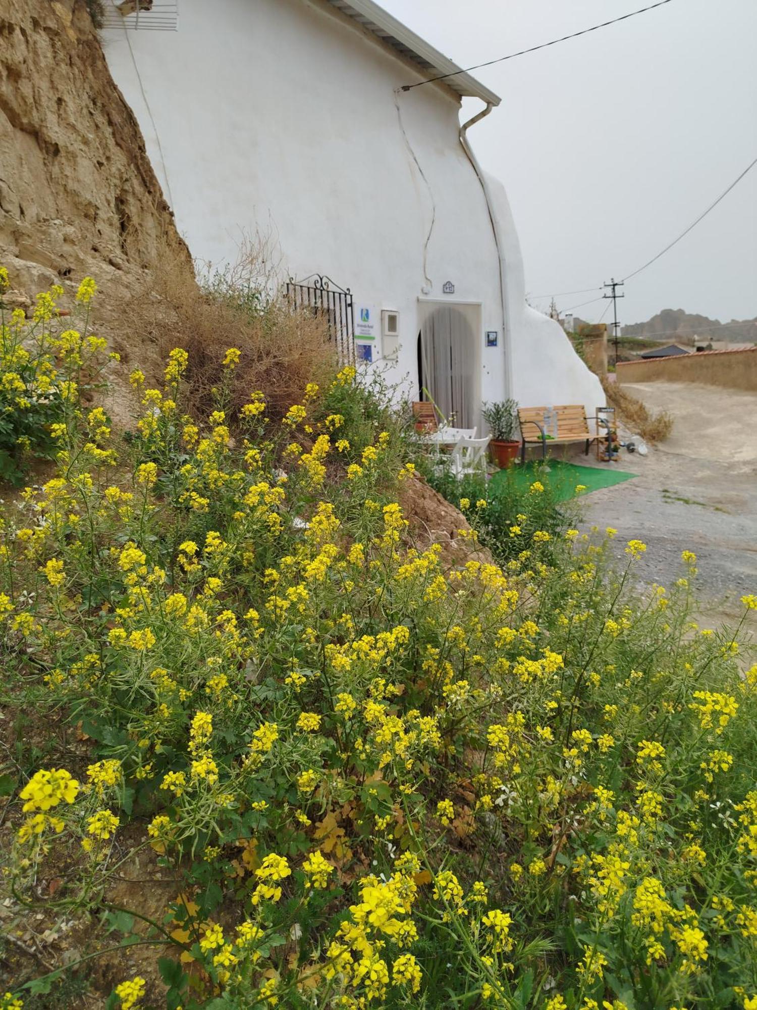 Villa Cueva La Loli Guadix Esterno foto